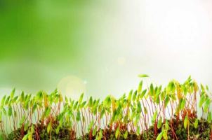 淘系自研前端研发工具 AppWorks 正式发布(1) 淘系自研前端研发工具 AppWorks 正式发布(1)