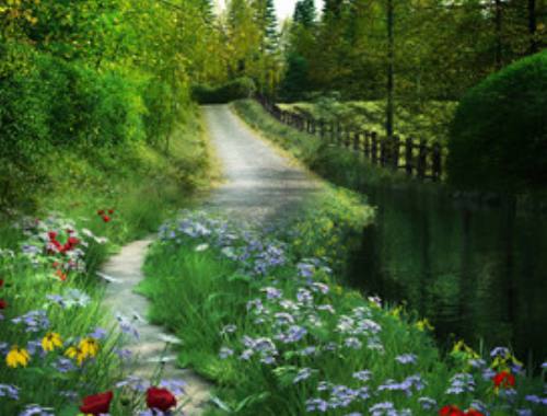 常用的excel函数类别有哪些? Excel十三大类函数公式大全 常用的excel函数类别有哪些? Excel十三大类函数公式大全