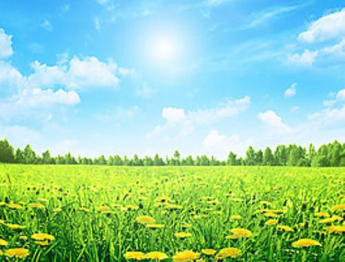 面向 Power BI 商务用户的导航:全局搜索 面向 Power BI 商务用户的导航:全局搜索