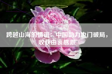 跨越山海的情谊：中国助力也门破局，收获由衷感激