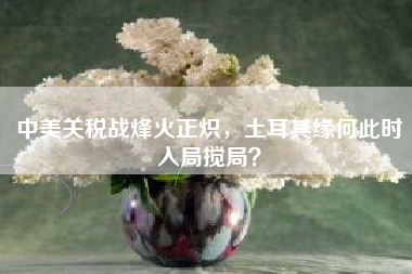 中美关税战烽火正炽，土耳其缘何此时入局搅局？