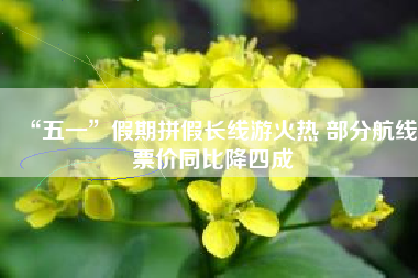 “五一”假期拼假长线游火热 部分航线票价同比降四成