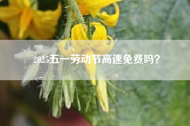 2025五一劳动节高速免费吗？
